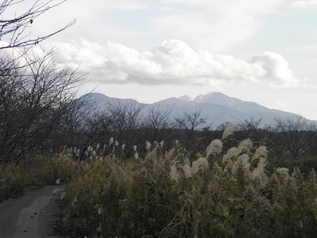 Photo taken in Niigata JAPAN